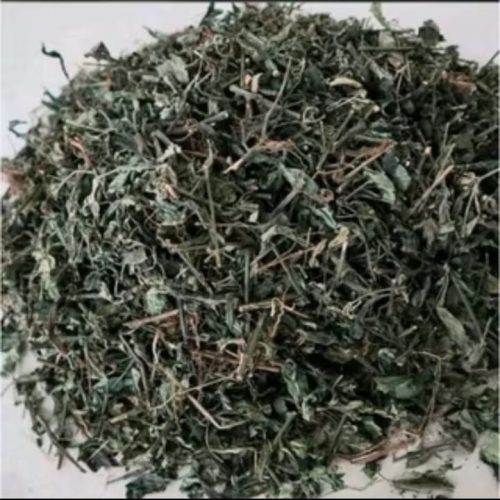 Gallery H. Abdul Azis Malang (11)