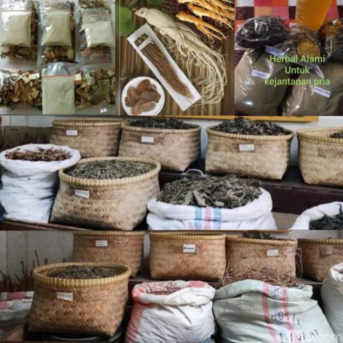 Gallery H. Abdul Azis Malang (5)