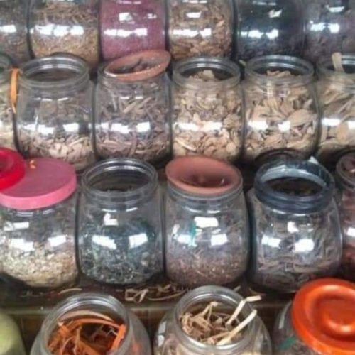 Gallery H. Abdul Azis Malang (9)